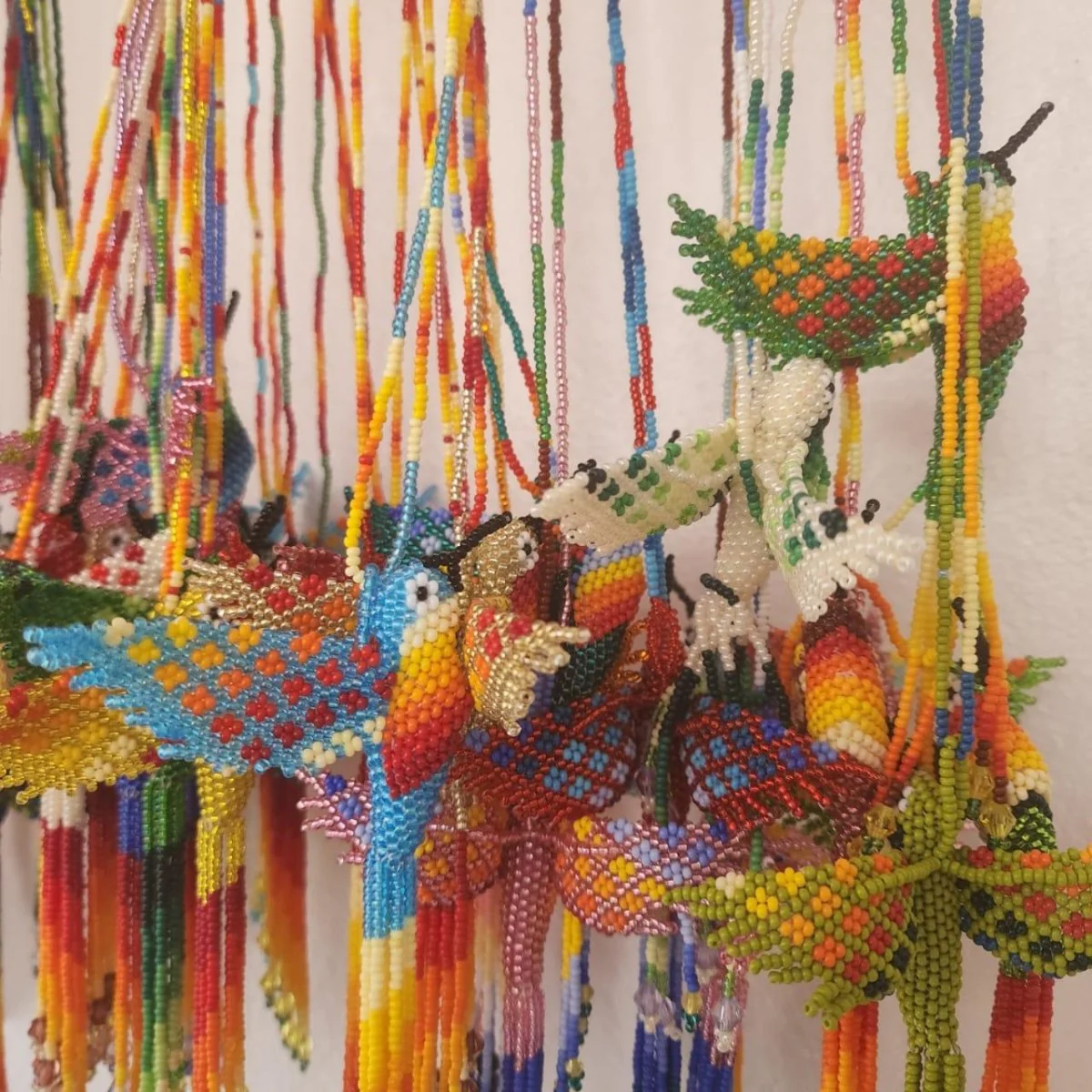 Colibries - Imagen 4