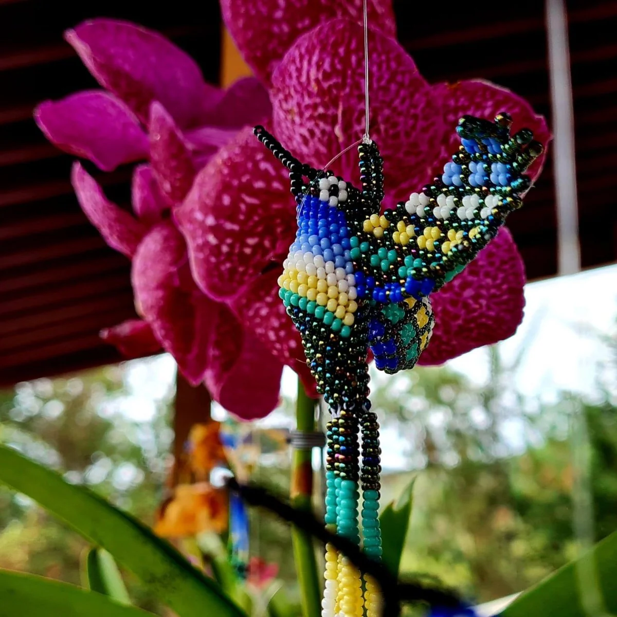 Colibries - Imagen 2